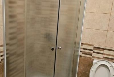 Dimitrie leonida popesti vest berceni metrou - 3