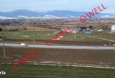 Spațiu comercial, în Tușnad - 8