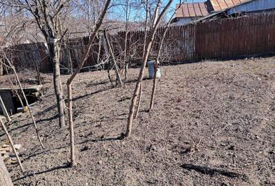 Casă cu 3 camere în Central - 5