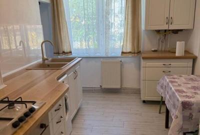 Apartament cu 2 camere decomandat, mobilat în Terezian - 9