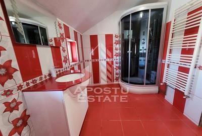 Casă cu 5 camere cu Teren 1763 Mp în Șag - 3