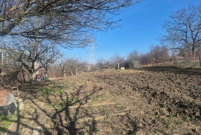 Teren Construcții intravilan de 1550 mp, în Gheorgheni - 3