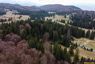 Teren de 1000 mp, în Poiana Brașov