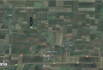 Teren de 5000 mp, în Dor Mărunt - 5