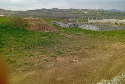 Spațiu comercial, în Șard - 3