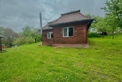 Casa individuala cu teren de 3823mp - 2