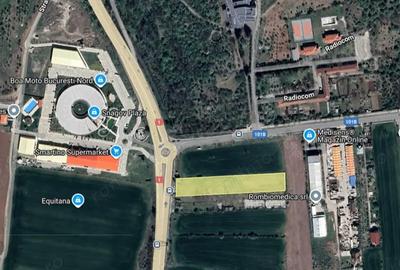 Teren de 5000 mp, în Snagov - 1