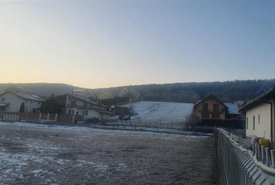 Teren intravilan de 4300 mp, în Ivănești - 7