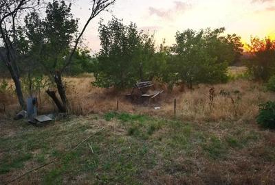 Casă cu 4 camere cu Teren 3000 Mp în Ostrov - 6