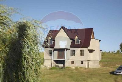 Casă cu 8 camere cu Teren 5232 Mp în Mogoșești - 3