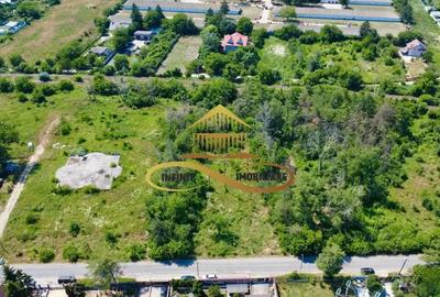 Teren de vanzare in Bacau - 7