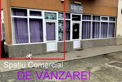 Spa?iu Comercial De Vanzare - 1