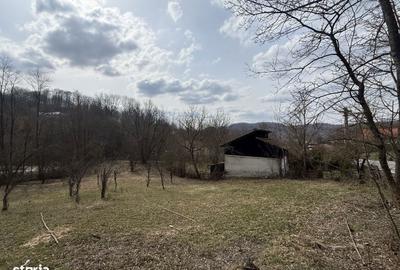 Spațiu comercial, în Provița de Jos - 2