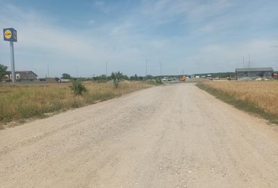 Teren Intravilan - Branesti - Investitie Pentru Hale Industriale - Vanzare - 23
