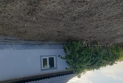 Casă cu 3 camere cu Teren 2080 Mp în Dor Mărunt - 4