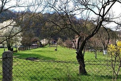 Casa si 3919 mp teren intravilan  in  Bucuresci, jud. Hunedoara - 6