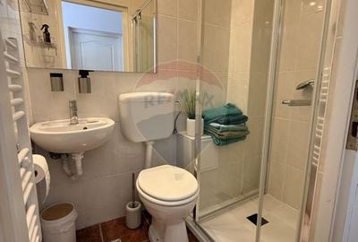 Garsonieră decomandată, mobilată în Zorilor - 6