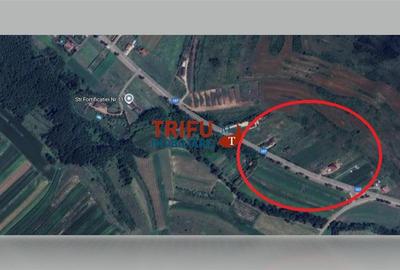 Teren 1600 mp de vanzare in comuna Ciugud cu toate utilitatile - 3