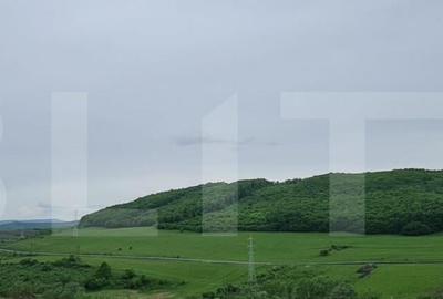 Casa individuala 4 camere si piscina exterioara in Popesti - 3