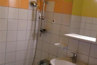 Garsonieră semidecomandată în Buziașului - 7