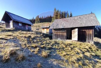 Teren 31,461mp Panaci / Prelungirea Ialovita - 1