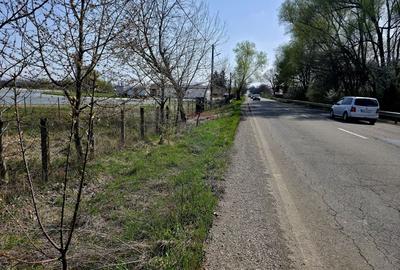 Teren Construcții intravilan de 7000 mp, în Girov - 11