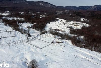 Casă cu 5 camere cu Teren 2000 Mp în Nucșoara - 14