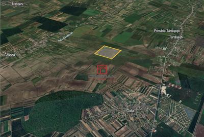 Teren agricol Tartasesti - Gulia, Dambovita - 1