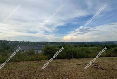 Teren intravilan 800 mp deschidere 40 ml Daia Noua - Sibiu - 6