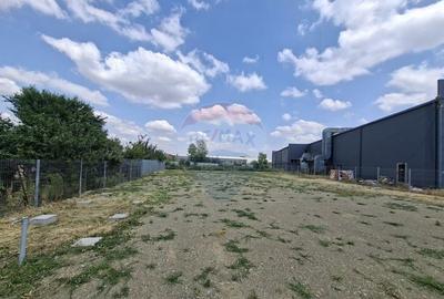 Teren logistic 907 mp de inchiriat/ Aurel Vlaicu - 2