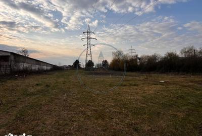 Teren de 6500 mp, în Șieu - 5