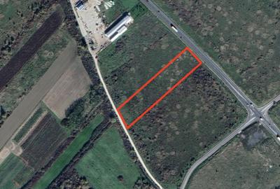 Teren agricol extravilan de 9871 mp, în Nord-Est - 3