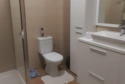 STUDIO DUBLU DE VÂNZARE IN ZONA BUCUREȘTI-NOI-DĂMĂROAIA SEC.1 - 11