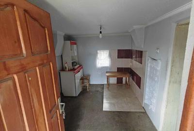 Casă cu Teren 1528 Mp în Optași - 9