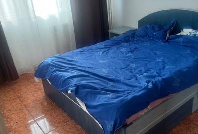 Apartament cu 2 camere semidecomandat în Drumul Carului - 3