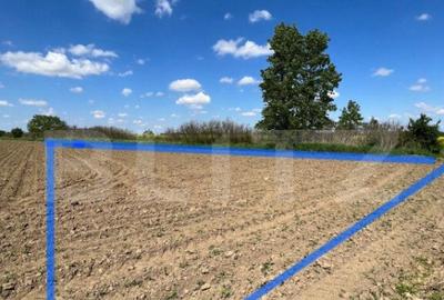 Teren 700mp, zona strada Careiului - 3