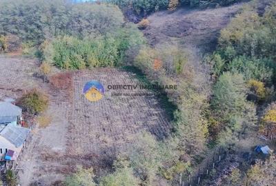 Teren de vanzare 11.766 mp – Costisa, judetul Neamt - 9