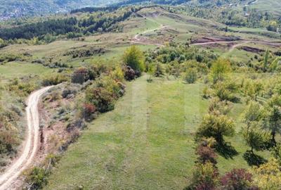 Teren extravilan, 41.631,00 mp, zona Pietrosita - 3