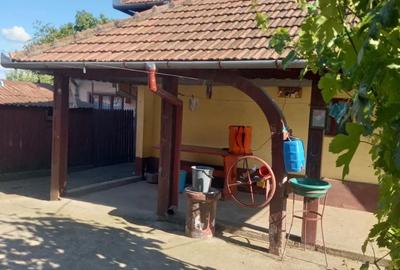 Casă cu 5 camere cu Teren 1574 Mp în Grojdibodu - 2