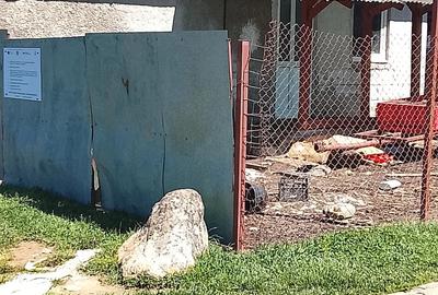 Casă cu 2 camere cu Teren 460 Mp în Marga - 5