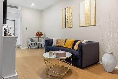 Studio Lux One Mircea Eliade I Floreasca - 5