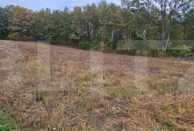 Teren de 2882 mp, în Bejan - 2