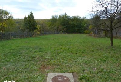 Casă cu 4 camere în Scheiu de Jos - 12