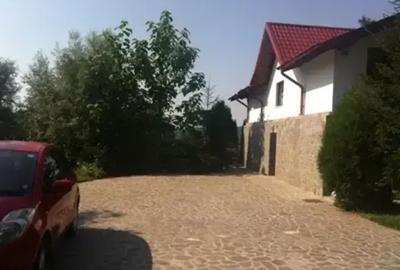 Casă cu 6 camere cu Teren 6200 Mp în Provița de Jos - 5