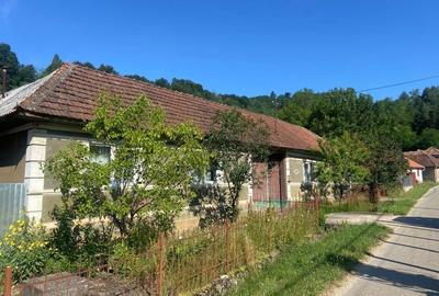 Casă cu 3 camere în Roșia - 4