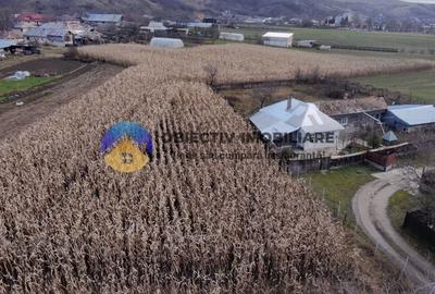 Casa + teren 2335 mp de vanzare – comuna Bodesti - 15