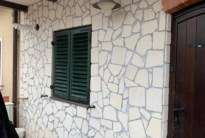 Casa cu etaj, Giroc dupa unuitatea militara - 1