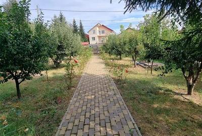 Casă cu 4 camere cu Teren 800 Mp în Valea Adâncă - 20