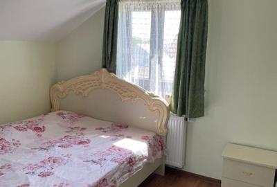 Casa de vanzare in IZVIN jud. Timis - 9