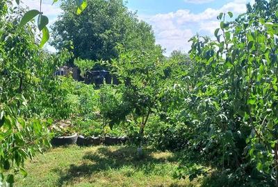 Casă cu 2 camere în Central - 3